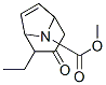 8-Azabicyclo[3.2.1]oct-6-ene-8-carboxylicacid,2-ethyl-3-oxo-,methylester(9CI)