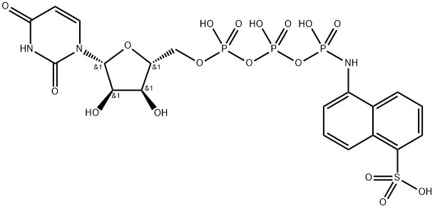 UTP-1-aminonaphthalene-5-sulfonate