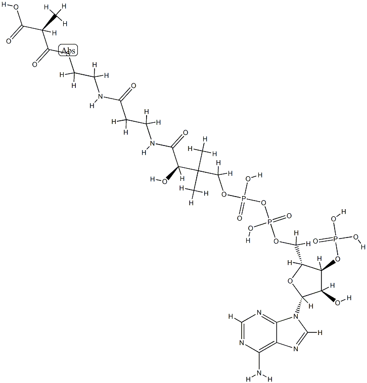 R-Methylmalonyl-CoA