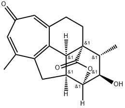 hainanolidol