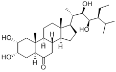 homocastasterone