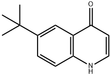 6-叔丁基-4-羟基喹啉