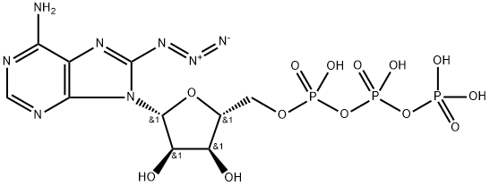 8-叠氮酰苷-5'-三磷酸钠