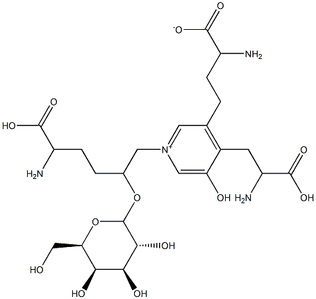 galactosylpyridinoline