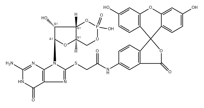 8-(5-thioacetamidofluorescein)cyclic-GMP