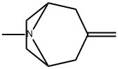 8-Methyl-3-methylene-8-aza-bicyclo[3.2.1]octane