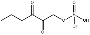 2,3-diketo-1-phosphohexane