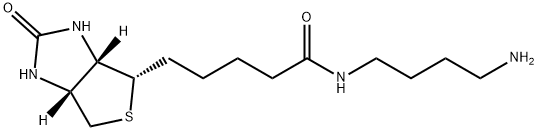 N-(4-AMinobutyl)biotinaMide