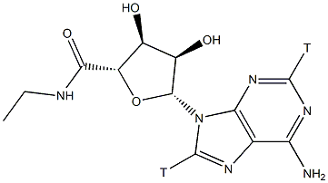 5'-(N-ETHYLCARBOXAMIDO)ADENOSINE-[ADENINE-2,8-3H]