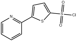 5-(2-吡啶)噻酚-2-磺酰氯