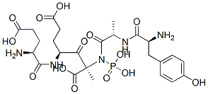 glutamyl-glutamyl-phosphotyrosyl-alanyl-alanine