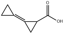 2-环丙亚基环丙烷甲酸