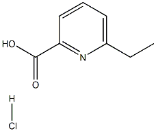 6-乙基皮考啉酸盐酸盐