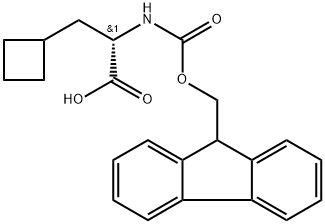 FMOC-L-环丁基丙氨酸