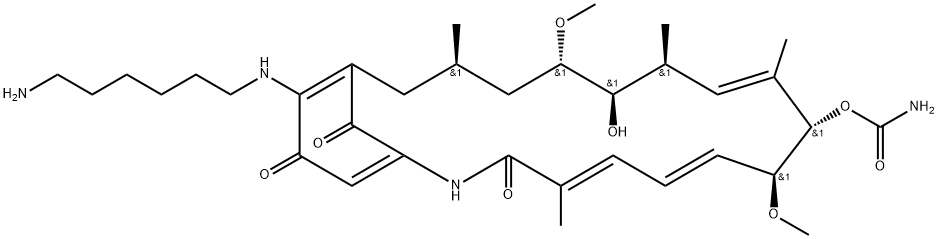 AMINOHEXYLGELDANAMYCIN