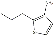 3-Thiophenamine,2-propyl-(9CI)