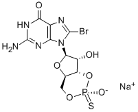 SP-8-BR-CGMPS