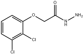 2-(2,3-dichlorophenoxy)acetohydrazide