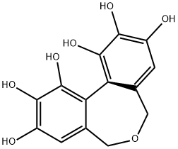 5,7-dihydro-1,2,3,9,10,11-hexahydroxydibenz(c,e)oxepin