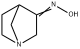 1-Azabicyclo[2.2.1]heptan-3-one,oxime(9CI)