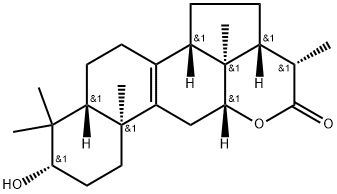 CARBOLACTONE