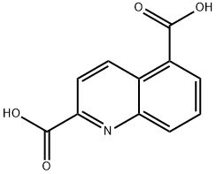 2,5-Quinolinedicarboxylicacid(9CI)