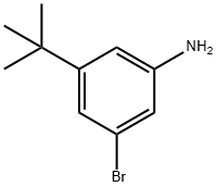 3-溴-5-(叔丁基)苯胺