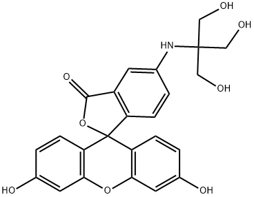 5-tris(hydroxymethyl)methylamino-2-(3,6-dihydroxy-9H-xanthen-10-yl)benzoate