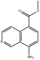 5-Isoquinolinecarboxylicacid,8-amino-,methylester(9CI)