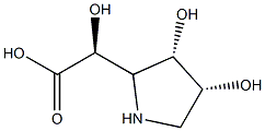 2-Pyrrolidineaceticacid,-alpha-,3,4-trihydroxy-,[2S-[2-alpha-(S*),3-alpha-,4-alpha-]]-(9CI)