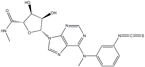 N(6)-(3-isothiocyanatobenzyl)adenosine-5'-N-methyluronamide