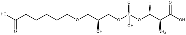 1-O-(5'-carboxypentyl)glycero-3-phosphothreonine