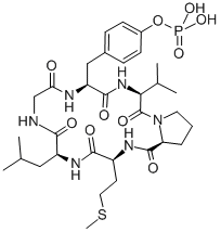 CYCLO(-GLY-TYR(PO3H2)-VAL-PRO-MET-LEU)