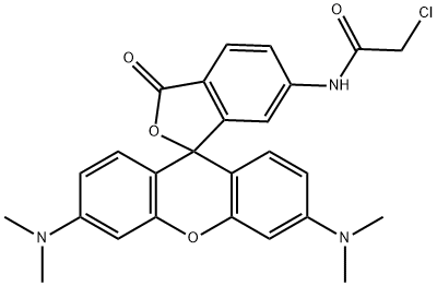 6-Chloroacetamidotetramethylrhodamine