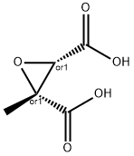 2,3-Oxiranedicarboxylicacid,2-methyl-,(2R,3S)-rel-(9CI)