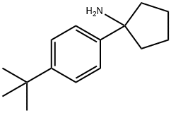 1-[4-(叔丁基)苯基]环戊胺