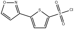 5-异恶唑-3-噻酚-2-磺酰氯