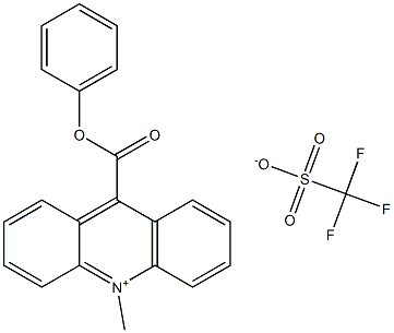 9-[(苯氧基)羰基]-10甲基三氟甲酰胺磺酸盐
