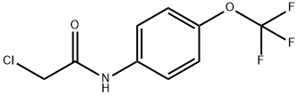 N-氯乙酰-4-(三氟甲氧基)苯胺