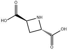 反式吖丁啶-2,4-二羧酸