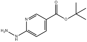 6-肼基烟酸叔丁酯