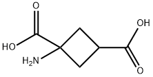 1,3-Cyclobutanedicarboxylicacid,1-amino-(9CI)