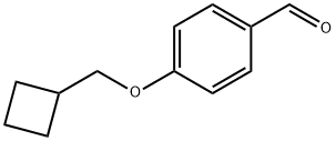 4-Cyclobutylmethoxy-benzaldehyde