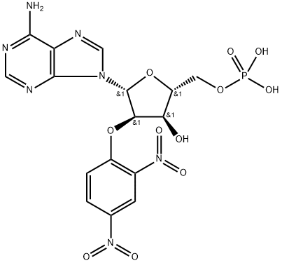 POLY[2'-O-(2,4-DINITROPHENYL)]POLY(A)*