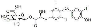 碘塞罗宁酰基葡糖苷酸