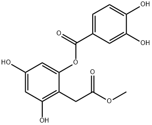 Jaboticabin